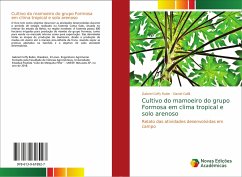 Cultivo do mamoeiro do grupo Formosa em clima tropical e solo arenoso