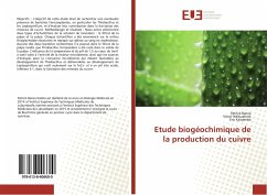 Etude biogéochimique de la production du cuivre - Banza, Patrick;Ndibualonji, Victor;Kassamba, Eric