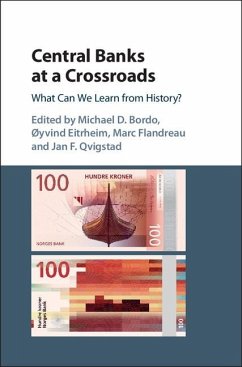 Cover Central Banks at a Crossroads (eBook, ePUB)