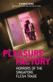 Pleasure Factory (eBook, ePUB)