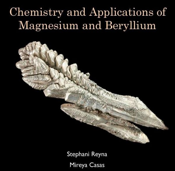Chemistry and Applications of Magnesium and Beryllium (eBook, PDF)