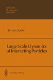 Large Scale Dynamics of Interacting Particles (eBook, PDF)