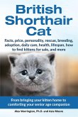 British Shorthair Cat