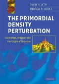 Primordial Density Perturbation (eBook, ePUB)
