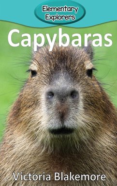 Capybaras - Blakemore, Victoria