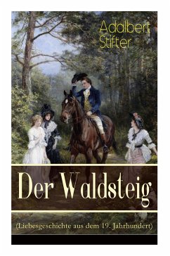 Der Waldsteig (Liebesgeschichte aus dem 19. Jahrhundert): Die Lebensgeschichte eines Außenseiters - Stifter, Adalbert