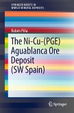 The Ni-Cu-(PGE) Aguablanca Ore Deposit (SW Spain) (eBook, PDF)