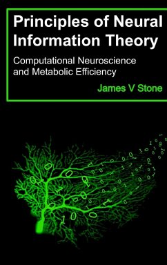 Principles of Neural Information Theory - Stone, James V