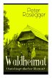 Waldheimat (Autobiografischer Roman):... - Bild 1