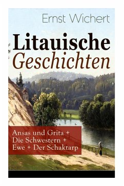 Cover Litauische Geschichten