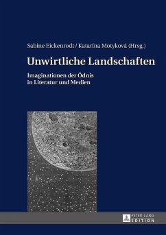 Unwirtliche Landschaften (eBook, PDF)
