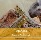 Tetrapods (Class of Vertebrate) (eBook, PDF)