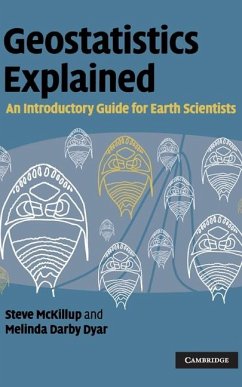 Geostatistics Explained (eBook, ePUB) - Mckillup, Steve