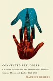 Connected Struggles (eBook, PDF)