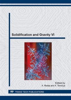 Cover Solidification and Gravity VI (eBook, PDF)