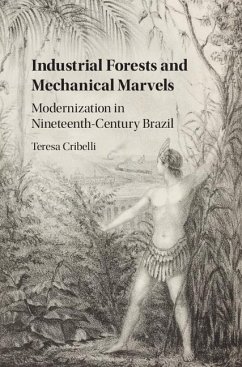 Industrial Forests and Mechanical Marvels (eBook, ePUB) - Cribelli, Teresa