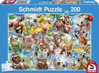 Schmidt 56294 - Puzzle, Tierische Selfies, 200 Teile, Kinderpuzzle