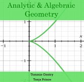 Analytic & Algebraic Geometry (eBook, PDF)