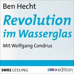 Revolution im Wasserglas (MP3-Download) - Hecht, Ben