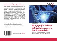 La alteración del gen mgrB de K. pneumoniae provoca multirresistencia - Benavides, Edison