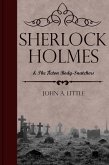 Sherlock Holmes and the Acton Body-Snatchers (eBook, PDF)