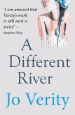 A Different River (eBook, ePUB)