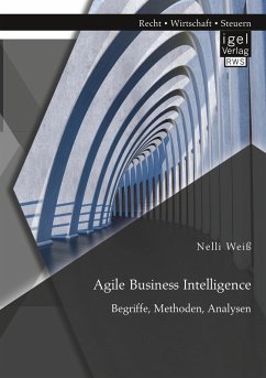 Agile Business Intelligence. Begriffe, Methoden, Analysen - Weiß, Nelli