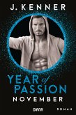 November / Year of Passion Bd.11 (eBook, ePUB)
