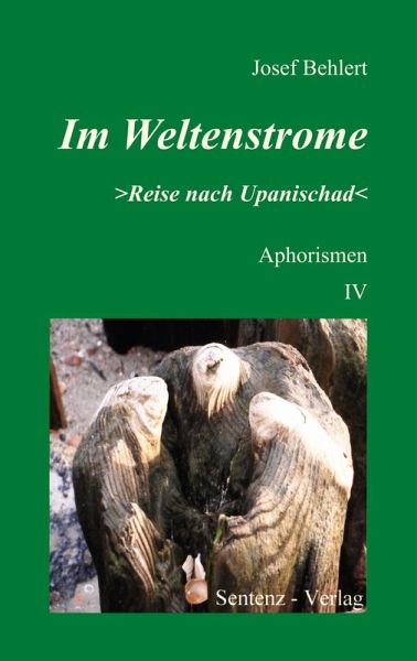 Im Weltenstrome >Reise nach Upanischad< Aphorismen IV (eBook, ePUB)
