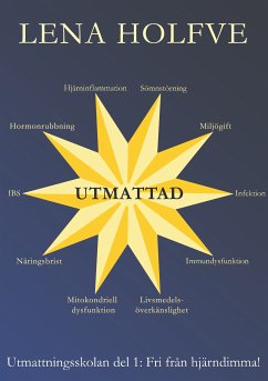 Utmattad (eBook, ePUB) - Holfve, Lena