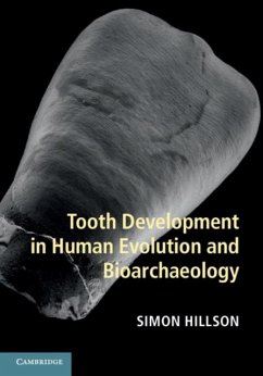 Tooth Development in Human Evolution and Bioarchaeology (eBook, PDF) - Hillson, Simon