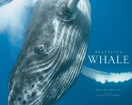 Beautiful Whale (eBook, ePUB)