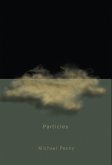 Particles (eBook, PDF)