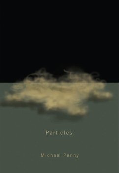 Cover Particles (eBook, PDF)