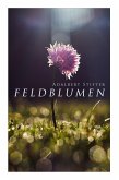 Feldblumen