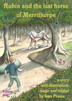 Rubin and the lost horse of Merrithorpe - Preece, Sam