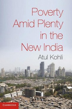 Poverty amid Plenty in the New India (eBook, ePUB) - Kohli, Atul