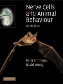 Nerve Cells and Animal Behaviour (eBook, ePUB)