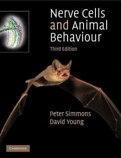 Nerve Cells and Animal Behaviour (eBook, ePUB) - Simmons, Peter