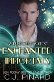 Enchanted Immortals 2: The Vortex (eBook, ePUB) Enchanted Immortals 2: The Vortex (eBook, ePUB)