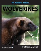 My Favorite Animal My Favorite Animal