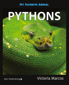 Cover My Favorite Animal