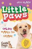 Goldie Makes the Grade: Volume 4