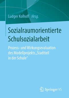 Sozialraumorientierte Schulsozialarbeit (eBook, PDF)