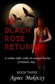 The Black Rose Returns (A Margo Fontaine Mystery, #3) (eBook, ePUB)