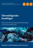 Überwältigendes bewältigen (eBook, ePUB)