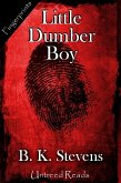 Little Dumber Boy (eBook, ePUB)
