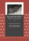 Chutes et ecartelements : l'A uvre de Pierre Mertens (eBook, PDF)