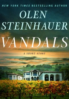 Vandals (eBook, ePUB) - Steinhauer, Olen