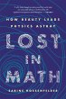 Lost in Math (eBook, ePUB) - Bild 1